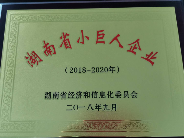 小巨人企業(yè)